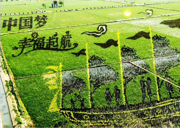 QQ截图20190305112826